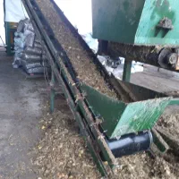 ذرت سیلاژ پر دان|عمده‌فروشی|بشاریات, |دیوار