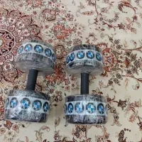 دمبل ۱۰ کیلویی بتونی