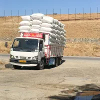 کاه درجه یک کوردستان