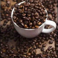 نیرو برای کافه