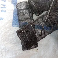 ۱۰عدد بیگودی مناسب برای آرایش