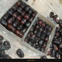 فروش خرمای درجه 1و2|حراج|بم, |دیوار