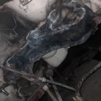 شاسی کشی استا علی