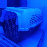 جای خواب گربه سگ|لوازم جانبی حیوانات|تبریز, |دیوار