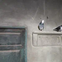 کفتر شازده سبز