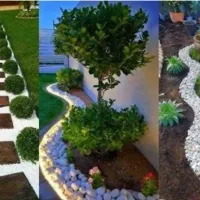 باغبانی.هرس.کاری.تعویض