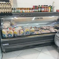 یخچال ویترینی الکترواستیل طرح غزال