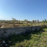 3هزار متری بهترین زمین برای باغ ویلا|فروش زمین و ملک کلنگی|لاهیجان, آهندان|دیوار