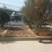 نظافت منزل آپارتمان ساعتی پا کنی باغ باغچه هرس