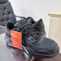 نایک ایرمکس