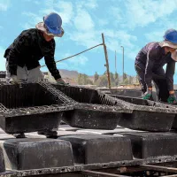 125متر،تهاتر باملک/خودرو/وام/دریاچه چیتگر|پیش‌فروش املاک|کرج, گوهردشت|دیوار