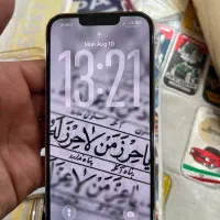13pro