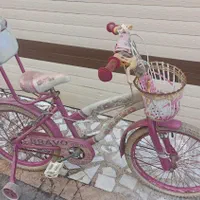 دو چرخه سایز 20|دوچرخه، اسکیت، اسکوتر|رشت, یخسازی|دیوار