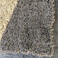 موکت پالاز ظریف تافتینگ