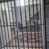 ساخت و نصب در و پنجره المینیومی|خدمات پیشه و مهارت|تنکابن, |دیوار