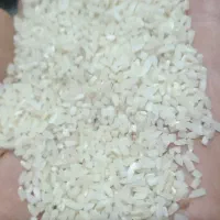 نیم دانه