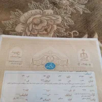 واحد آپارتمان زمین شهری هلا بریم|فروش آپارتمان|آبادان, |دیوار