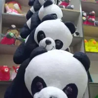 پاندا وارداتی  داری چن سایز فوقالعاده با کیفیت