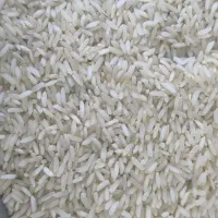 فروش عمده برنج محلی  ارسال سراسر شیراز رایگان