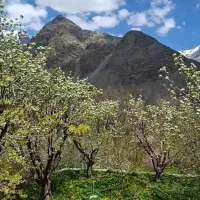 فروش یا معاوضه زمین در روستای جاده چالوس
