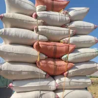 کاه گندم و جو