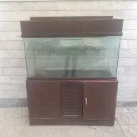 اکواریوم یک و نیم متری
