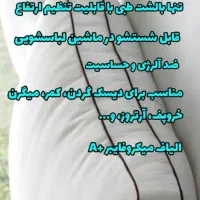 بالشت تبی