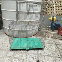 قفس پرنده
