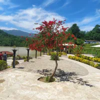 فروش زمین با کاربری تجاری وسوله