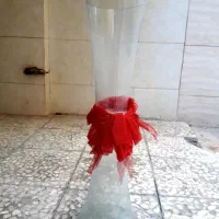 گلدان شیشه ای (گلدان بامبو)