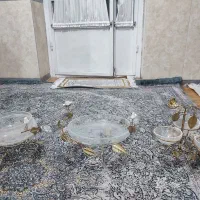 لوکس و تزیینی|ظروف سرو و پذیرایی|نهاوند, |دیوار