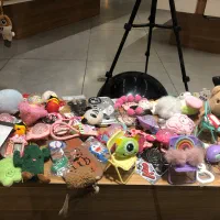 فروش عمده لوازم جانبی موبایل/قیمت زیر بازار|لوازم جانبی موبایل و تبلت|تهران, گلستان (شهرک راه آهن)|دیوار