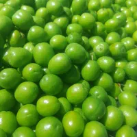 الوچه ،گوجه‌سبز