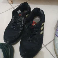 ۶ جفت کتونی اورجیال سایز ۴۰نیم ۴۱|کیف، کفش، کمربند|پرند, فاز ۱|دیوار