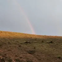 فروش زمین مسکونی