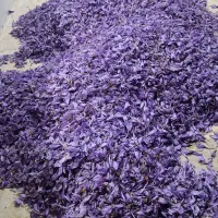 پایگاه گل زعفران