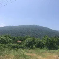 واجارگاه یک هکتارباغی سنددار خوش قیمت