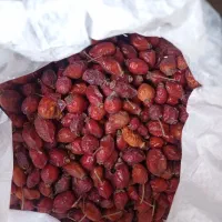 میوه گل نسترن (گیلدیگ)|خوردنی و آشامیدنی|تهران, افسریه جنوبی|دیوار