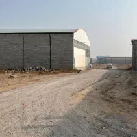 زمین صنعتی جاده آخولا کوی ستاره|فروش دفتر صنعتی، کشاورزی، تجاری|خسروشاه, |دیوار
