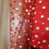 مجلسی|لباس|شیراز, کوشک میدان|دیوار