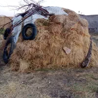 باغ یونجه