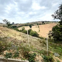 اجاره روزانه/هفتگی/ماهانه ویلا ۹۰ متری|اجارهٔ کوتاهمدت ویلا و باغ|فریم, |دیوار