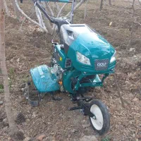 خدمات باغ و باغبانی|خدمات باغبانی و درختکاری|محمدشهر, همایون ویلا|دیوار