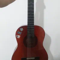 گیتار استگ c542