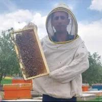 عسل طبیعی کرمانشاه|خوردنی و آشامیدنی|تهران, شهران جنوبی|دیوار