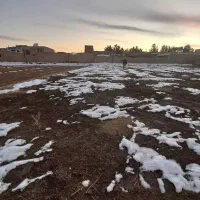 یک قطعه زمین در گوگد