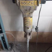 هیلتی بوش المان