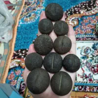 فسیل های مرجان دو کفه ای کلکسیونی