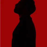 دو عدد بلیط کنسرت آرمان گرشاسبی