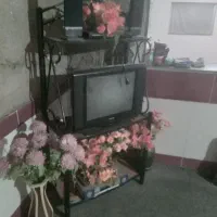 اینا همش باهم ۱۲ میلیون